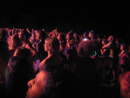 Firefly 2012 039