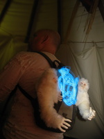 Firefly 2012 066