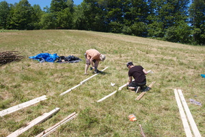 Firefly2012 008