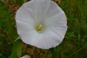 DSC 0008