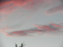DSCN1579