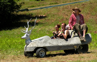 Buck Buggy 485