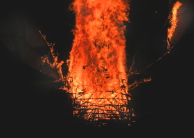 Bug Burn 1375