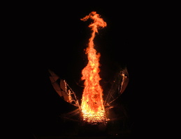 Bug Burn 1377