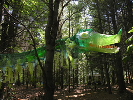 Dragon 222 sm