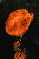 PK4A 1666