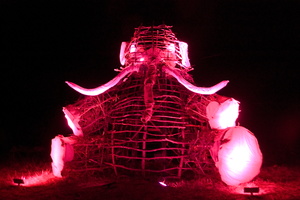 Firefly2011 078