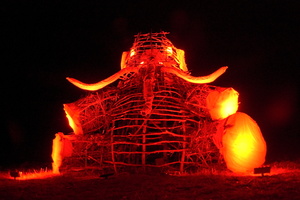 Firefly2011 079