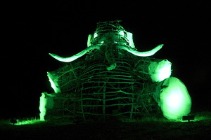 Firefly2011 080