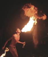 FF08FireBr1