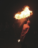 FF08FireBr6