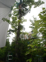 DSC06402