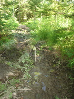 DSC06441