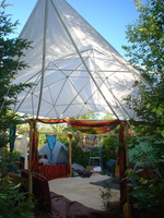 DSC06453