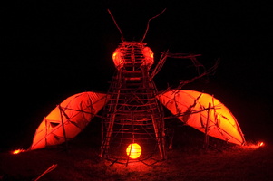 Joed Firefly09 034