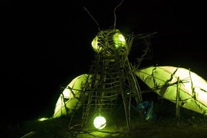 Joed Firefly09 036