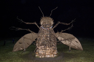 Joed Firefly09 062