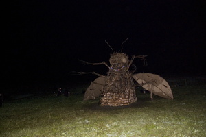 Joed Firefly09 063