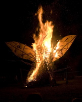Joed Firefly09 071