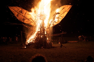 Joed Firefly09 073