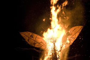 Joed Firefly09 074