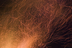 Joed Firefly09 076