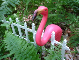 DSC01509