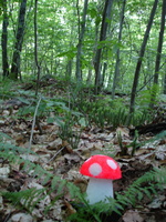 DSC01535