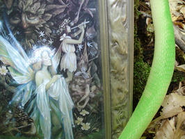 DSC01541