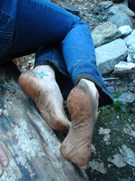 DSC03600