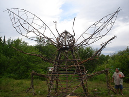 2007