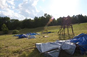 Firefly2010 08