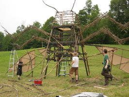 Firefly2010 10