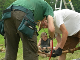 Firefly2010 15