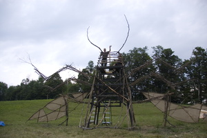 Firefly2010 22