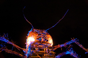 Firefly2010 42