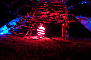 Firefly2010 44