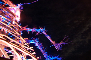 Firefly2010 45