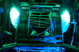 Firefly2010 48