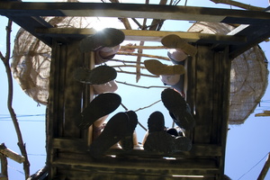 Firefly2010 59