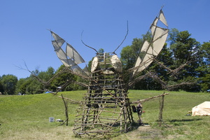 Firefly2010 61