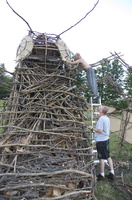 Firefly2010 66