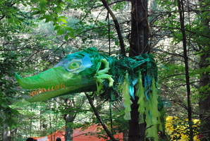 IMG 564