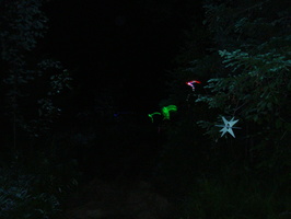 DSC00812