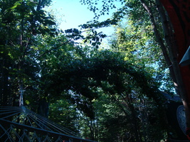 DSC00823