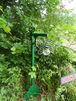 DSCN1319