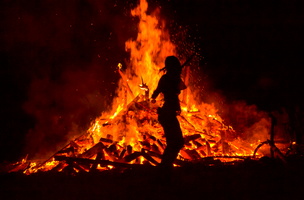 Bug Burn-6