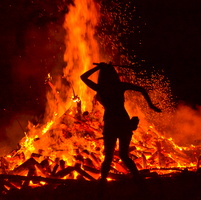 Bug Burn-8