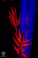 edit- IMG 1369
