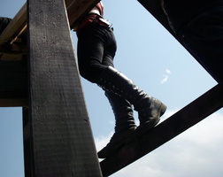 FramingTheBUG2